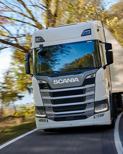 Transportadora de Cargas em São Paulo